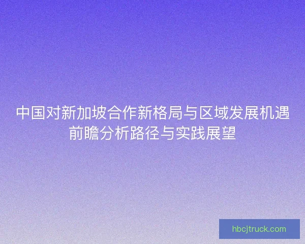 中国对新加坡合作新格局与区域发展机遇前瞻分析路径与实践展望